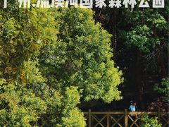 -广州市流溪河国家森林公园