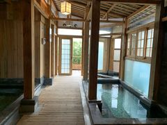 -成都蓝城悦杏温泉美食酒店(宽窄巷子店)