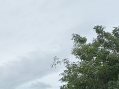 -云幽谷旅游区