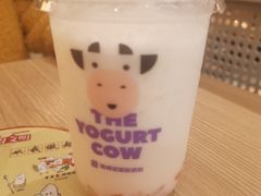 -一只酸奶牛(时代天街A馆店)