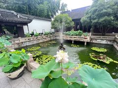 -上海醉白池公园
