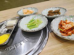 -喜来苑