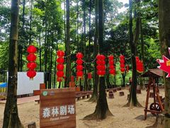 -广州市帽峰山景区