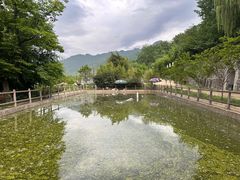 -盛世牡丹苑生态文化旅游区