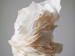 -Biteology Artisan Cakes(红庄·国际文化保税创新园店)