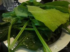 -新辣道鱼火锅(世纪金源购物中心店)