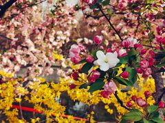 -元大都城垣遗址公园