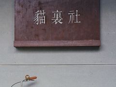 -猫里有甜