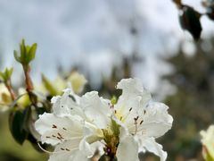 -天龙八部武侠城