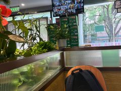 -洞庭家宴·头牌甲鱼(广渠门店)