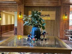 -松赞丽江山居餐厅