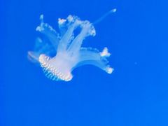 -福州罗源湾海洋世界旅游区