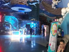 -烟台海昌鲸鲨海洋公园
