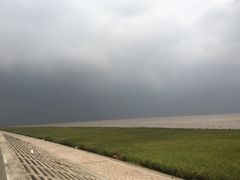 -南汇嘴观海公园