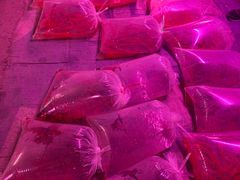 -中环花鸟鱼虫市场