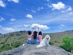 -大姆山草场