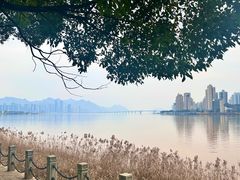 -江心屿景区