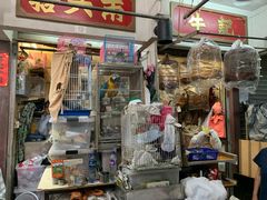 -园圃街雀鸟花园