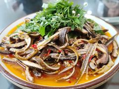 凉拌鳝丝-飞虹鱼馆(春华路店)