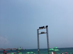 -玫瑰海岸文化旅游度假区