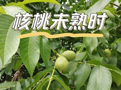 -恋乡太行水镇