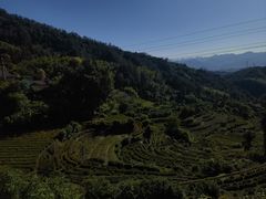 -杨家堂村