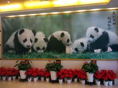 -成都驻京办餐厅(蜀都宾馆店)