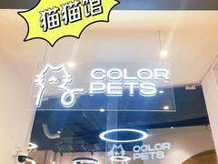 -COLOR PETS 撸猫馆·购猫·猫咖(长风大悦城店)