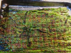 烤韭菜-伊隆斋(什刹海店)