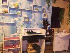 -席仁堂推拿按摩脊柱调理(世纪科贸大厦店)