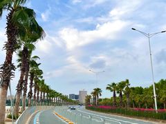 -宝安西湾红树林湿地公园