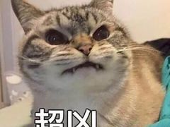 -黄沙水产交易市场