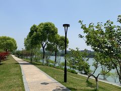 -羊山湖公园