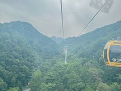 -栾川竹海野生动物园