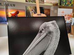 -Sony Store 索尼(上海淮海中路店)