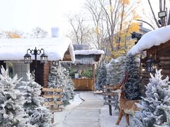 -HERRE·FARM 赫尔露营农场·团建聚会包场