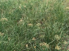 -万源龙顺度假庄园生态观光园