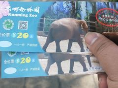 -昆明动物园