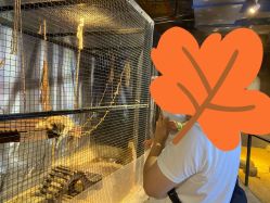 -酷嗒动物文化乐园(cutezoo西溪乐天城店)