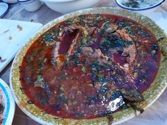 -张鲫鱼家常菜