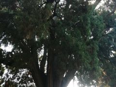 -四门塔风景区