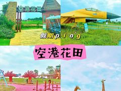 -空港花田景区