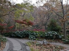 -紫霞湖公园
