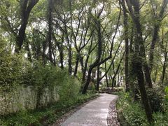 -西溪南古村落景区