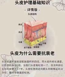 -木北造型