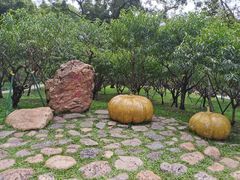 -广州市白云山风景名胜区