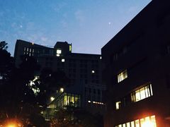 -香港大学