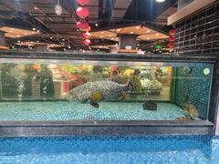 -旺豪阳光超市(友谊阳光城店)