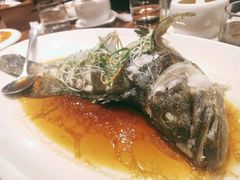 -頂好酒家·经典粤菜(海信广场店)