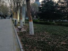 -裕华世纪公园